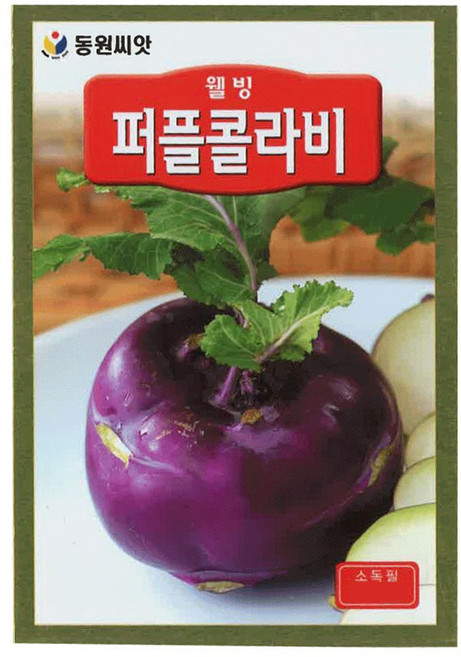 모칸도 동원 퍼플콜라비 씨앗 500립, 1개