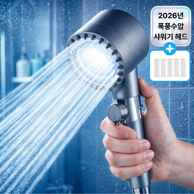 에바오 수압상승 필터 샤워기 헤드, 1개, 그레이
