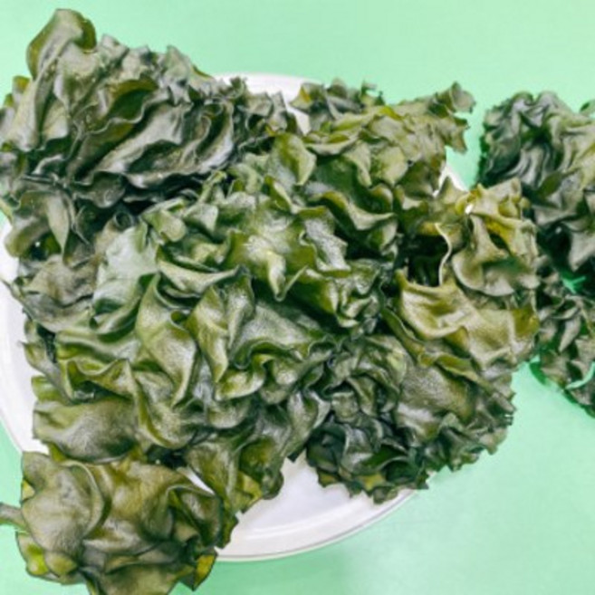 남해안 청정해역 어린 햇미역귀 (특품), 200g, 1개