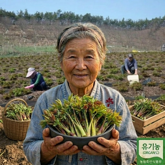 [프리미엄]최상급 유기농 눈개승마 삼나물 봄나물, 1박스, 2kg