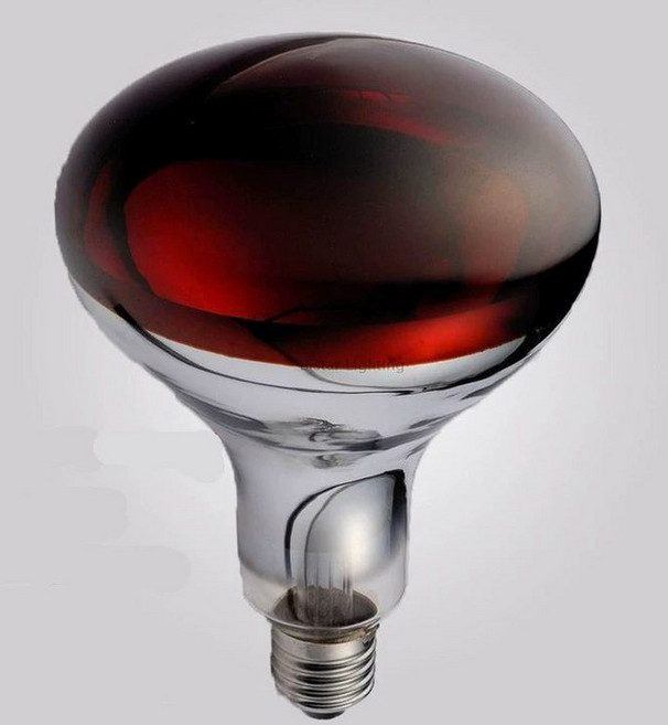 푸드 온열 워머 스탠드형 업소용 튀김 램프 플레이트, 250W 반광 레드, 100-300W, 1개