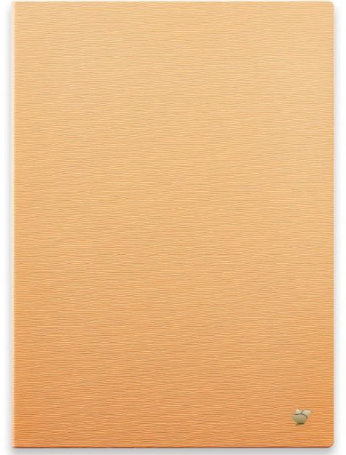 iflytek AINOTE 2 10.65인치 회의용 E-Ink 태블릿 4.2mm 초박형 AI 노트 필기 지원 음성-텍스트 변환 업무/회의/학습용 17개 언어 필사, AINOTE 2 Case Orange
