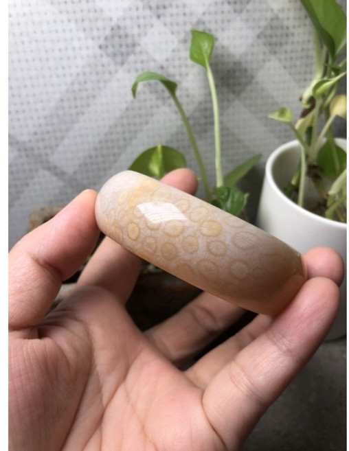 菊花石 珊瑚玉 寬版手鐲