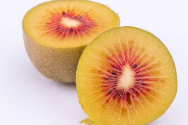 [굿피플] 레드키위 제주키위 골드키위 kiwi 래드키위 키위 과일키위, 1개, 제주 레드키위 2kg 중과