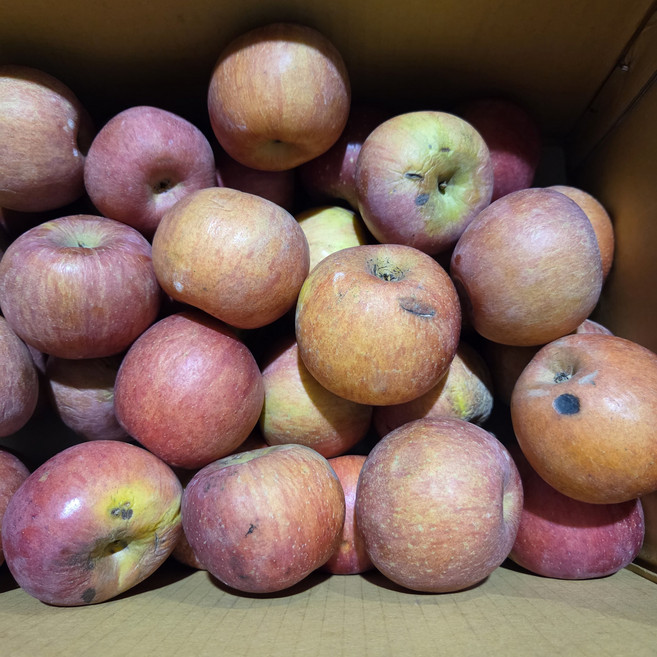 사과 가성비 못난이사과 실속형, 1박스, 1kg내외(혼합과)