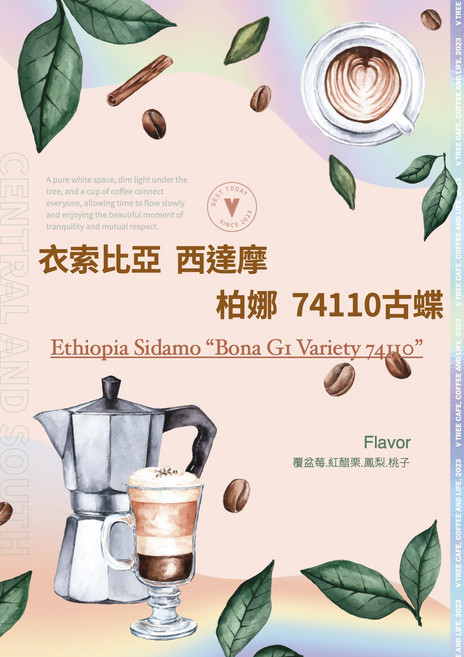 衣索比亞 西達摩 74110 古蝶 單品咖啡豆, 225g, 1個, 全豆咖啡