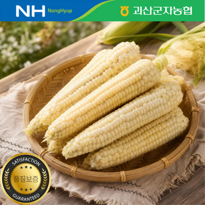 2위 - [괴산군자농협] 농협정품인증 괴산 대학찰옥수수 특품 (17cm내외), 1박스, 20개 특품 (17cm내외)
