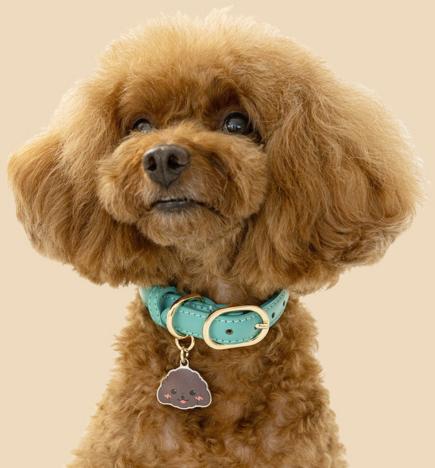 아미펫 캐릭터 이름표 컬러가죽 목줄, 블랙, 1개