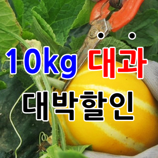 [성주참외] 꿀먹고 자란 아삭달콤한 성주참외 산지직배송, 1박스, 15.가정용 참외 10kg 대과