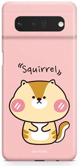 데이투데이 픽셀6프로 케이스 다람쥐 하드