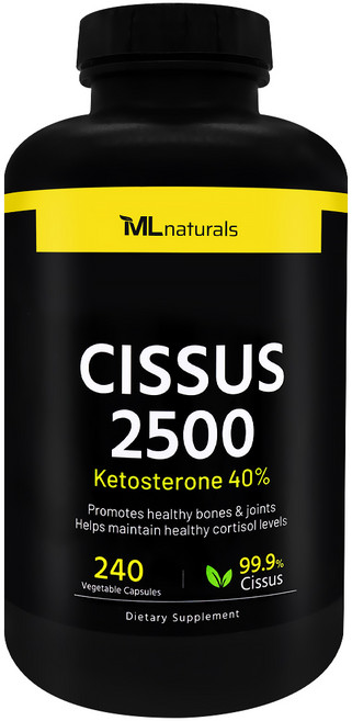 마이라이프 시서스 2500 240캡슐, 1개, 240정