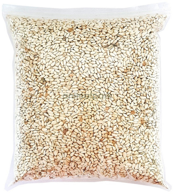 애니몰파크 애니몰 홍화씨 2kg 앵무새 사료 먹이 모이 간식, 1개