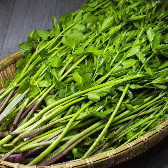 아삭하고 향긋한 청도 미나리 산지발송, 1박스, 500g