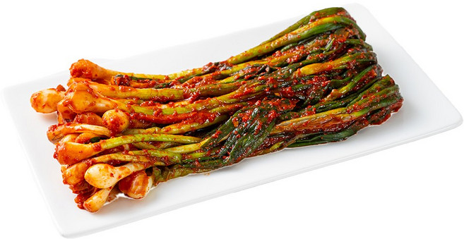 이로담 비건 파김치 젓갈없는 맛있는 채식, 1kg, 1개