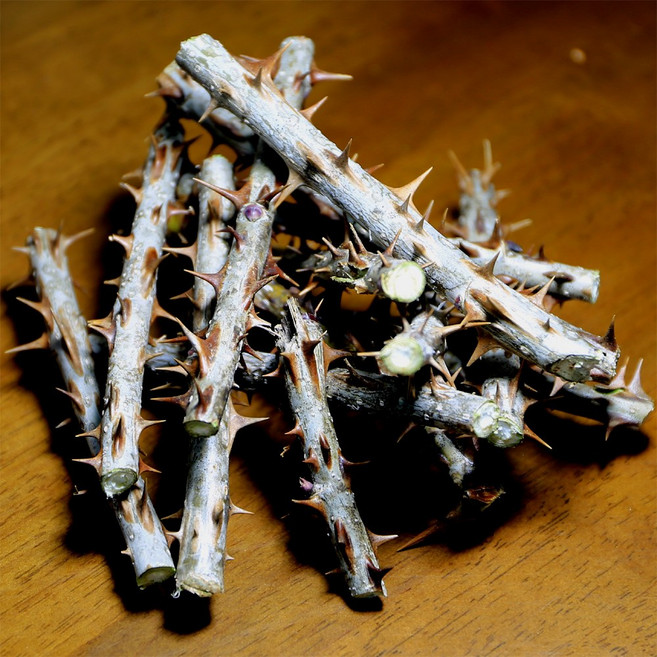 농선 야생 방임농사 엄나무 가지, 500g, 1개