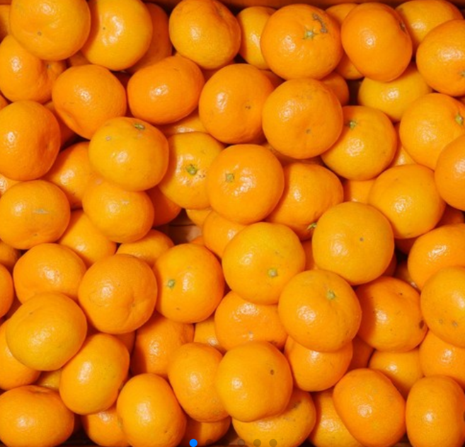 [초특가] 제주감귤 고당도 타이벡감귤 가정용, 1박스, 옵션1 (특가) 제주감귤 5Kg 소과