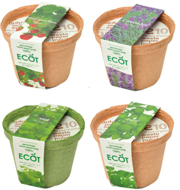 소다츠 에코트 씨앗 재배키트 마이플랜트, 민트