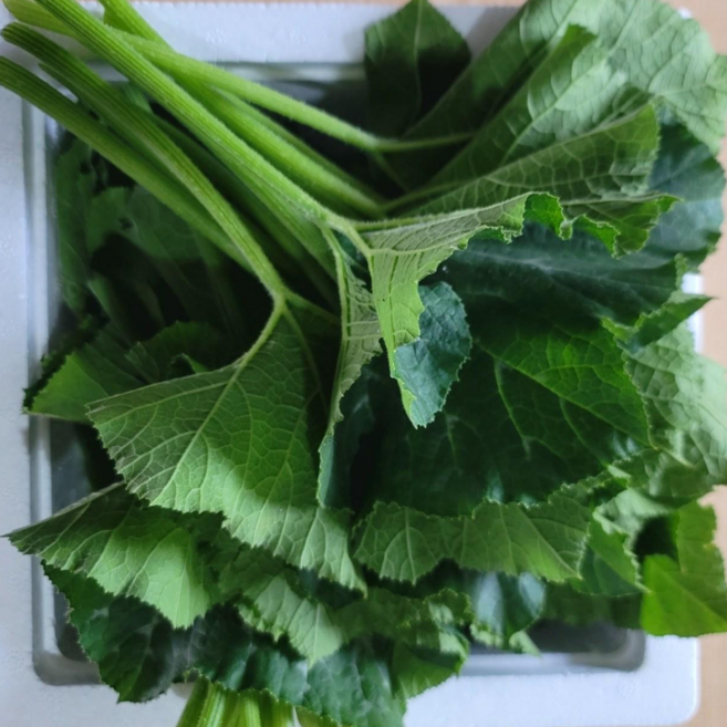 부드러운 국내산 노지 조선 호박잎 쌈채소 산지직송, 1개, 700g