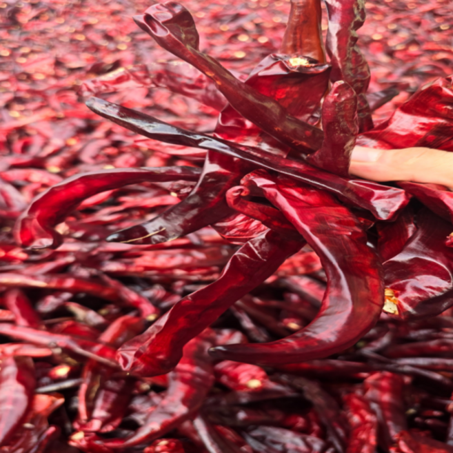 세척 햇 건고추 보통맛, 건고추 1근(600g) 보통맛, 1개, 600g