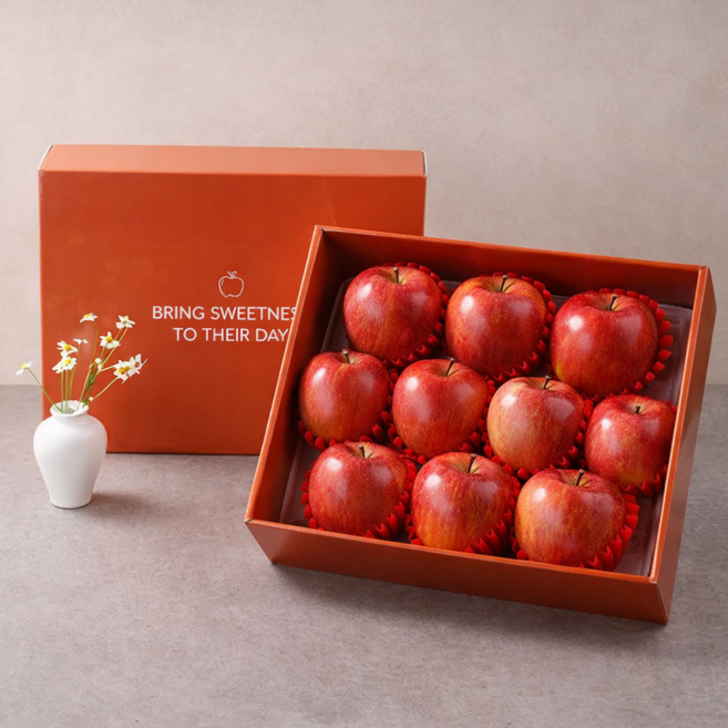 [명품과일] 백화점납품 고당도 사과 선물세트, 1박스, 3kg(중대과)