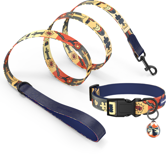 포뷰 타임 시리즈 목줄+리드줄+분실방지 태그 세트, 밤하늘