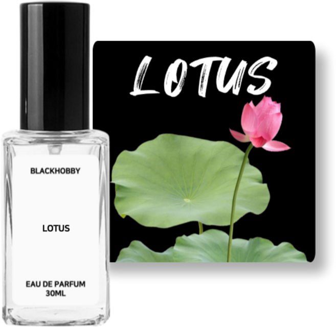 [3+1] 블랙하비 연꽃향 베스트 10종 드레스퍼퓸 / 사탕수수 발효 베이스 사용, 1개, 30ml, 223. 슈가리치