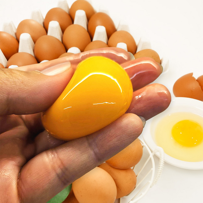 바른 계란 난각번호 1번 자연방사 유정란 무항생제, 1개, 40구