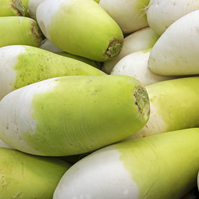 해풍 맞고 자란 노지 제주 월동무 (대용량) [원산지:국산(제주특별자치도)], 1개, 10kg