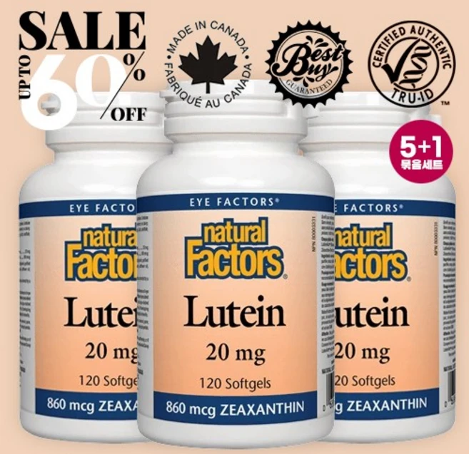 네추럴팩터스 루테인 20mg + 860mcg 제아잔틴 120정 5+1 눈건강을 위한 캐나다 영양제 Natural Factors Lutein 20mg, 3개 - 쿠팡