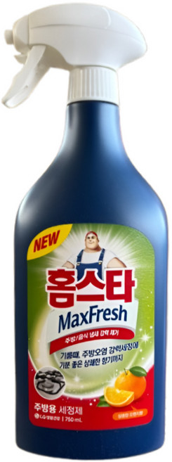 LG생활건강 홈스타 맥스프레쉬 주방용 세정제 600ML+150ML, 750ml, 2개