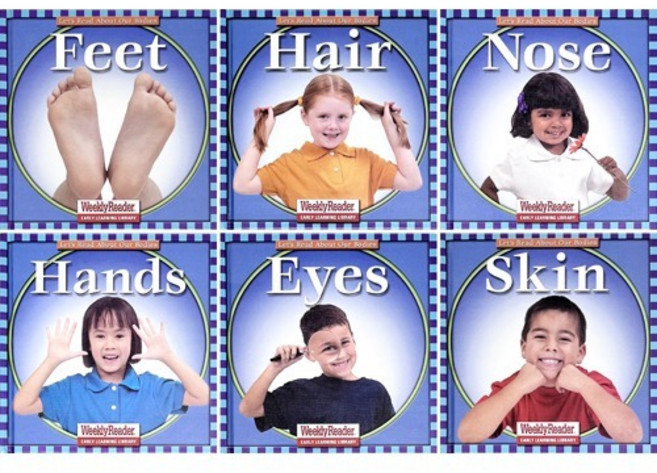 Let’s Read About Our Bodies 유아 초등 저학년 영어 신체 과학 논픽션 AR 0점대 1점대 (6종 택1), C