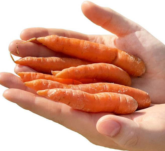 국내산 미니당근 스낵당근 베이비당근 당근, 1개, 스낵당근_500g