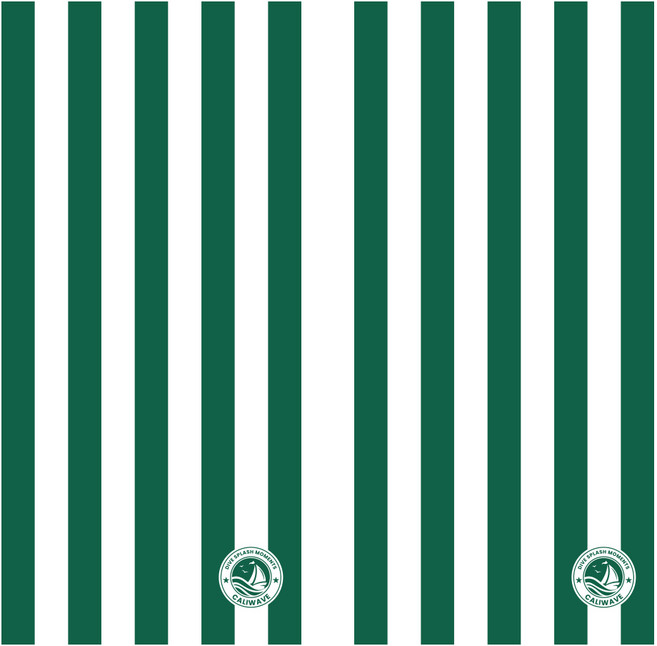 캘리웨이브 대형 비치타올 2개 세트 해수욕장 워터파크 호텔 리조트 수영장 물놀이 수건, 스트라이프그린 대형+스트라이프그린 대형, 1세트