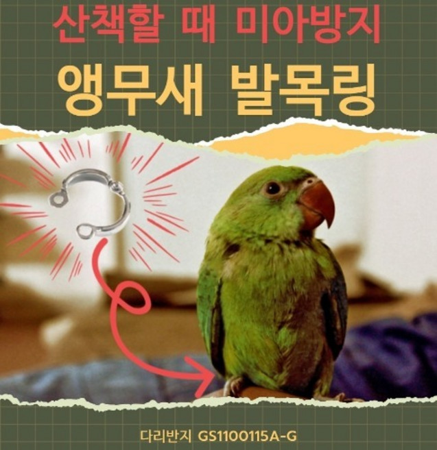 앵무새 발목링 산책 조류 비둘기 훈련 리드 줄 이름 각인 미아 외출 비행 이름 번호 이동 잉꼬, D_9호, 1개, D9호