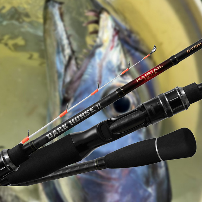 NS 엔에스 다크호스2 헤어테일 텐야 텐빈 갈치 낚시대