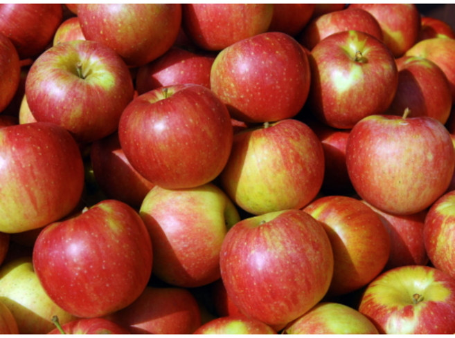 사과 청송 홍로 부사 썸머킹 아오리 사과 가정용 3kg 5kg, 1개, 빨간사과(부사)/중소과(180g내외)가정용