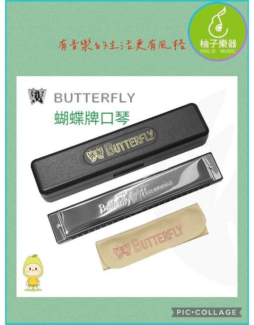 24孔複音口琴（台灣製造 黃銅簧片 經典入門） 柚子樂器, 1個, 蝴蝶牌-24複音C調