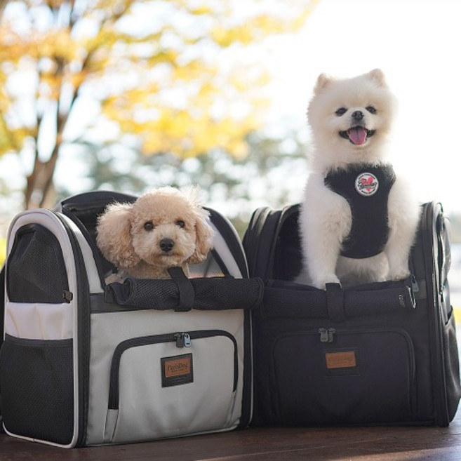 패리스독 하퍼앞가방 (대중교통이용가능), 그레이, 1개