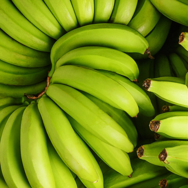 부드럽고 달콤한 바나나, 1박스, 생그린 바나나 13kg내외(요리용)