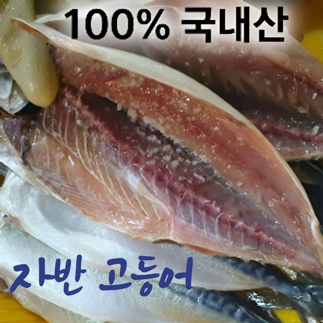 국내산100% 손질 자반 고등어 간고등어, 1박스, 10미(중)