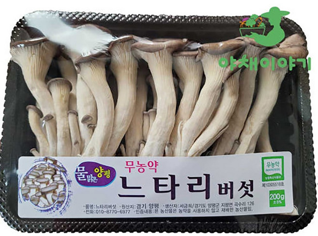 야채이야기 느타리버섯 5팩 (개당 약 200g), 5개, 200g