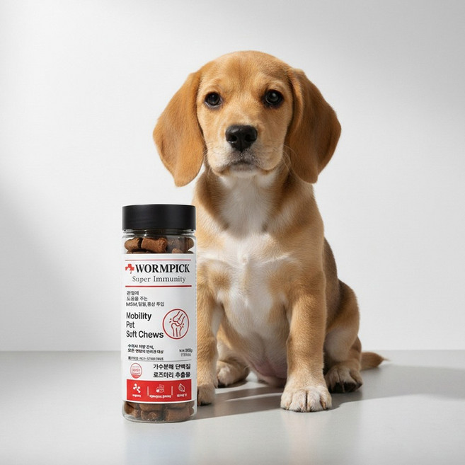 (동물병원간식)WORMPICK 웜픽 가수분해간식 관절건강 강아지영양제 애견간식 강아지간식 강아지껌 300g, 1개, 관절건강면역