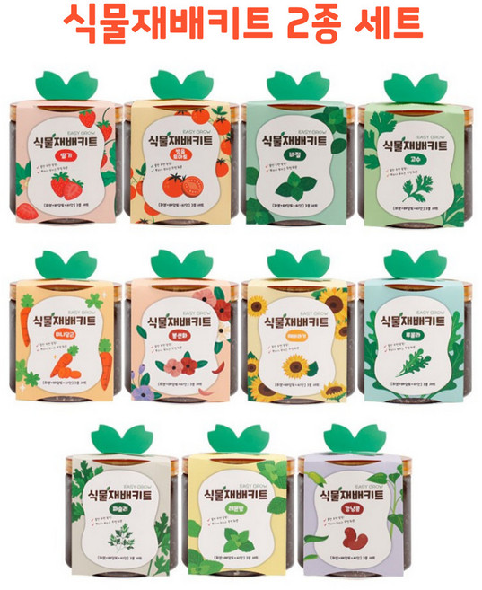 M&F 식물재배키트 2종 세트 베란다 텃밭, 딸기+방울토마토