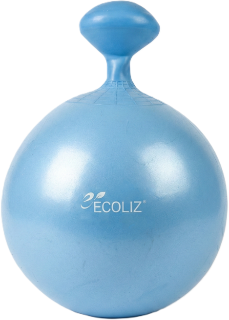 에코리즈 밸런스 짐볼, 45cm 라이트블루