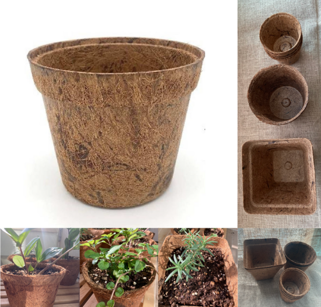 에코 코이어 화분, 1개