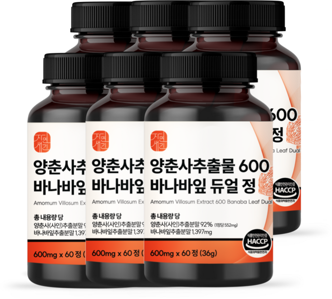 자연새긴 양춘사추출물 바나바잎 듀얼 정 식약처 HACCP 인증시설, 6개, 60정