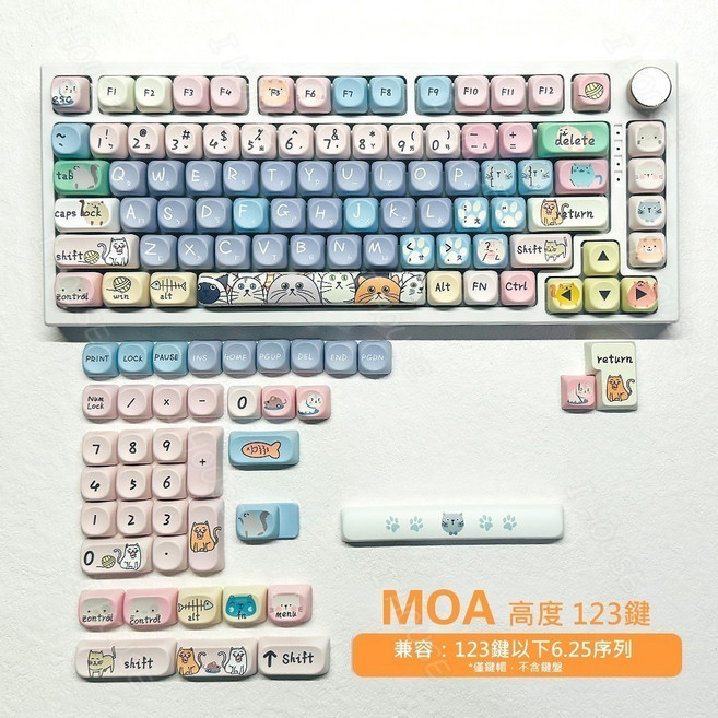 I HOUSE 貓咪鍵帽 透明注音PC材質十字鍵帽, 【新款貓咪鍵帽】MOA高度+注音文