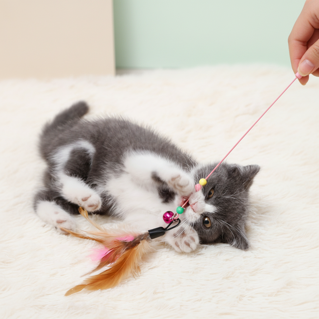 고양이 깃털 낚시대 탄성 와이어 흔들리는 사냥 놀이용 장난감 세트, 고양이낚시대장난감, 1개