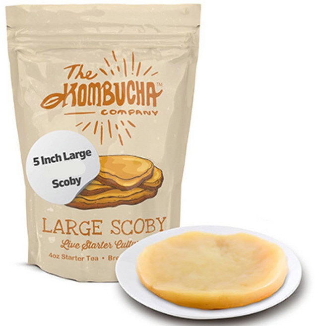 콤부차 SCOBY | 라지 사이즈 음료를 쉽게 양조할 수 있는 5인치 마더 스타터 티 리퀴드 4온스 포함 컴퍼니 제공, 1개