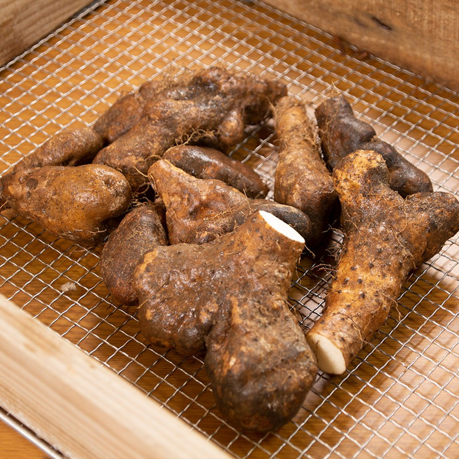 태산농장 안동 태산농장 2025햇마 산마 산약 참마, 1박스, 5kg (k.산마파지)